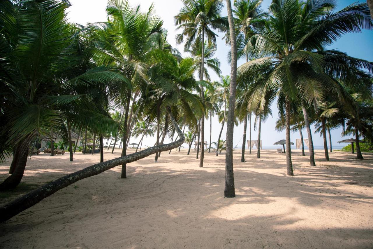 Malabar Ocean Front Resort And Spa, Bekal Nīleshwar Exteriér fotografie